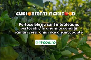 Portocalele nu sunt întotdeauna portocalii