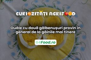 Ouăle cu două gălbenușuri provin de la găinile mai tinere