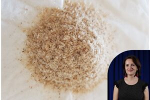 psyllium