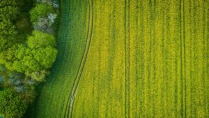 green deal, fermieri, subventii agricole, ministerul agriculturii