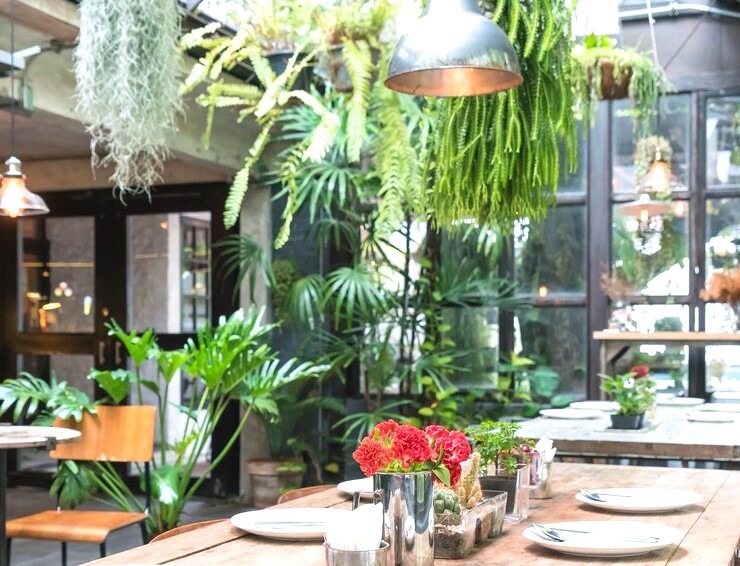 tendinte horeca muzica plante New York