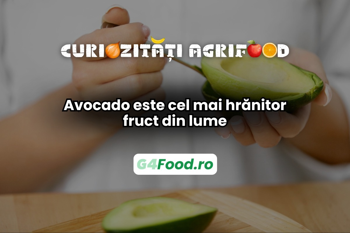 Avocado este unul dinte cele mai hrănitoare fructe