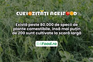 Există peste 80.000 de plante comestibile în lume