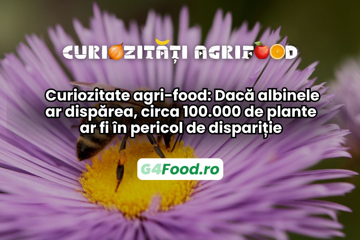 Dacă albinele ar dispărea, peste 100.000 de plante ar fi în pericol