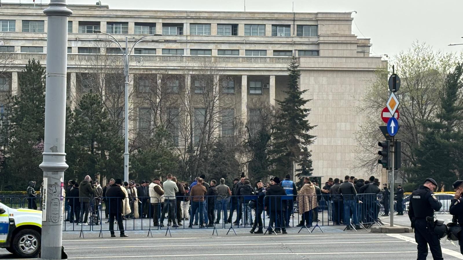 Câteva zeci de oieri protestează în Piața Victoriei / Sursa foto: G4Food