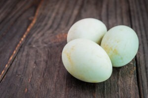 Toxiinfecție almentară după consum de ouă de rață