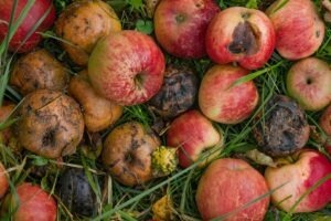 mere stricate retrase din programul de masa al elevilor la Buzau