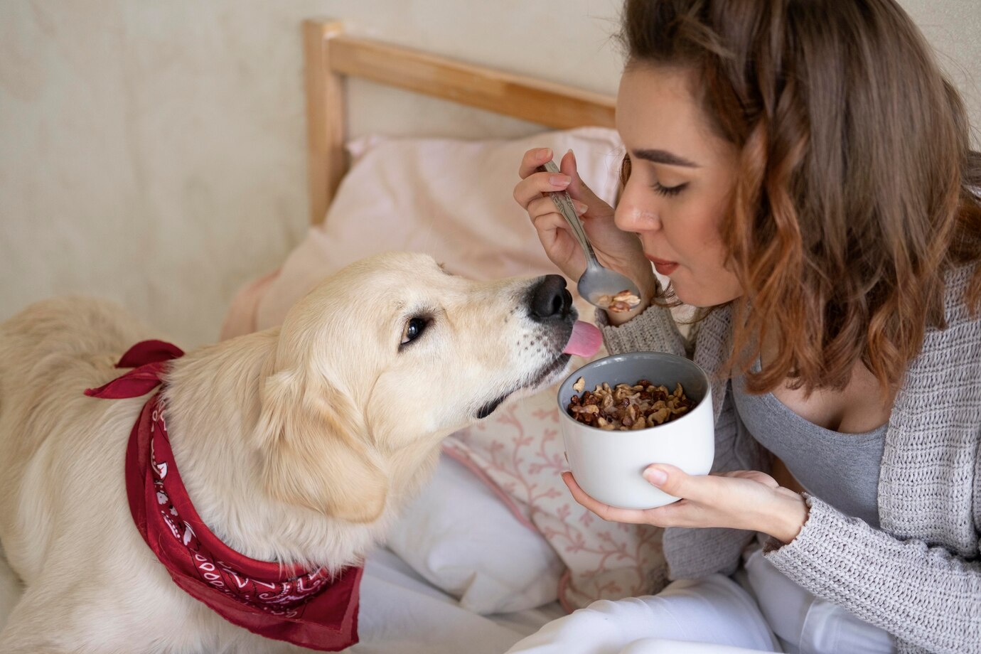 mancarea animalelor de companie, tot mai asemanatoare cu cea a proprietarilor