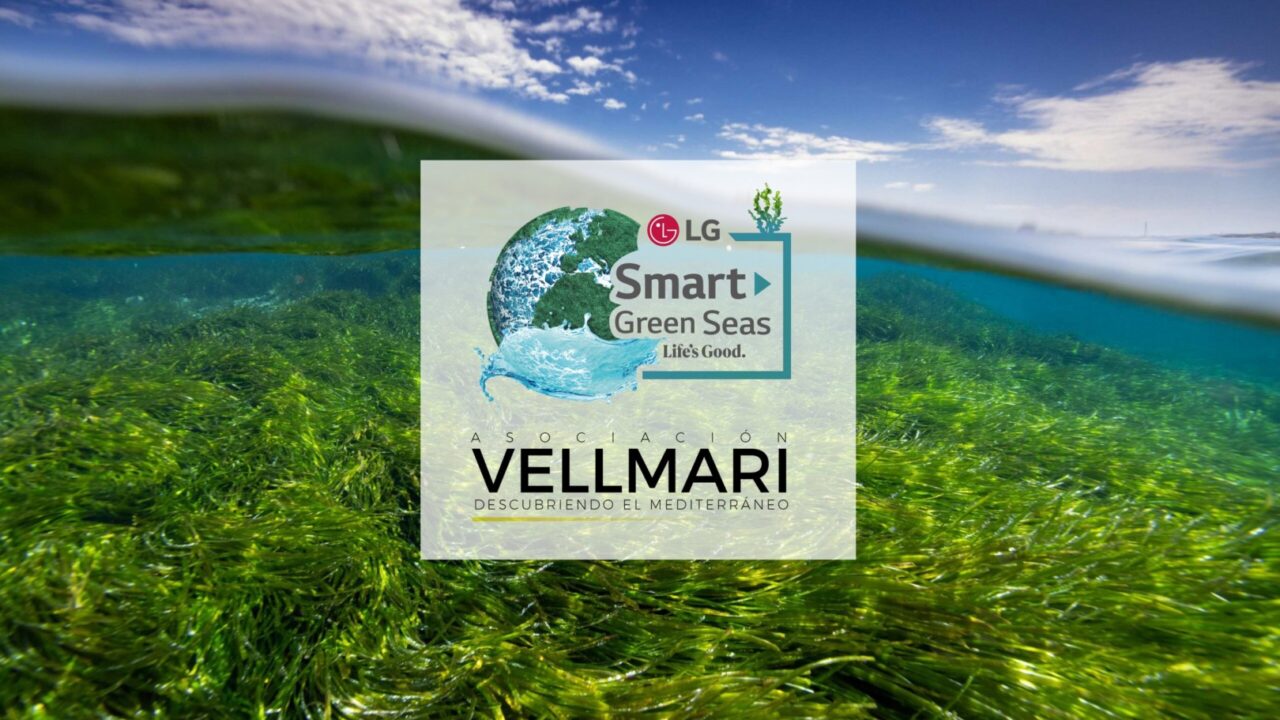 proiectul smart green capitolul legat de mare, în Spania