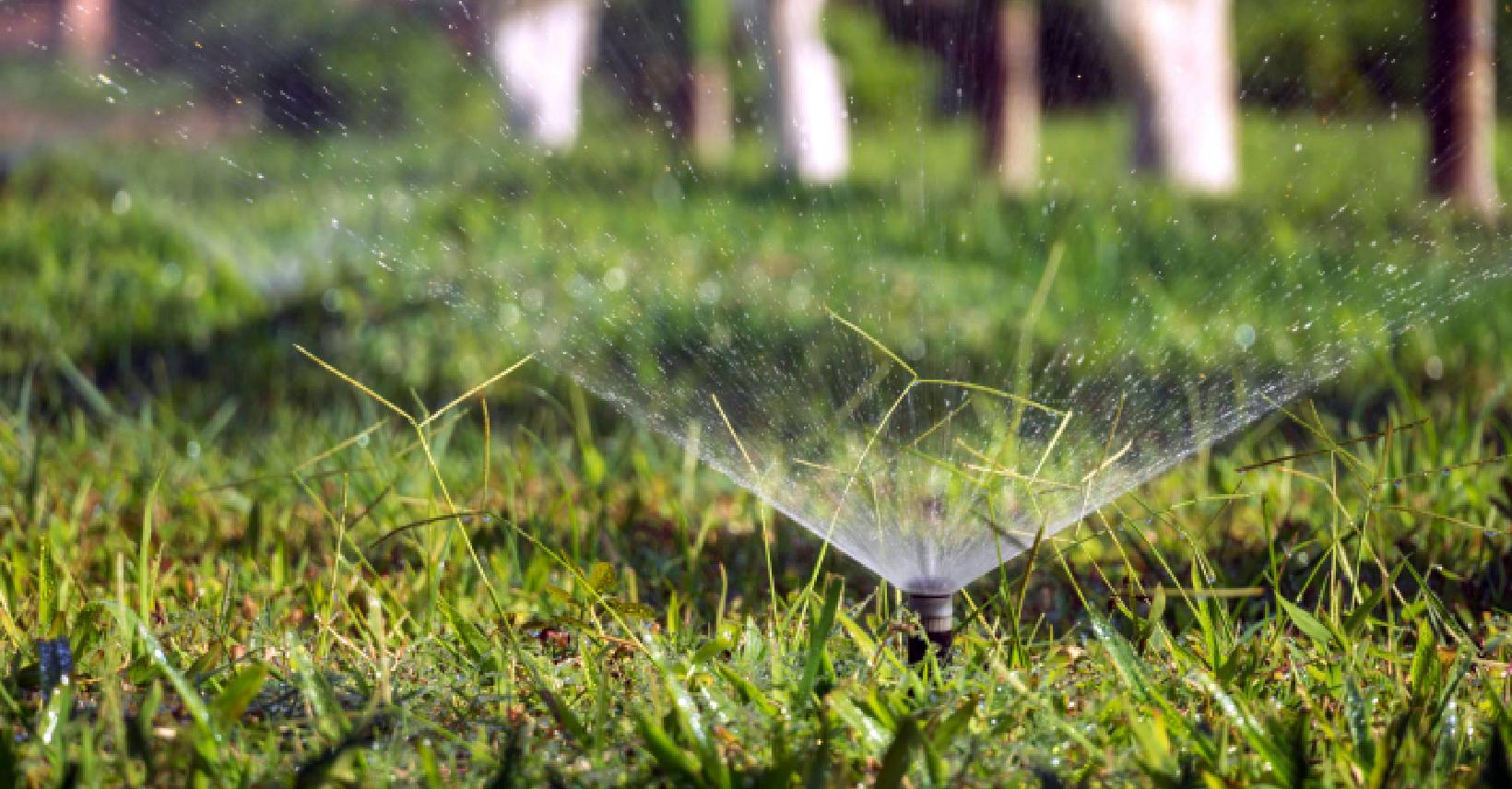 Irigarea, primul pas pentru o grădină verde