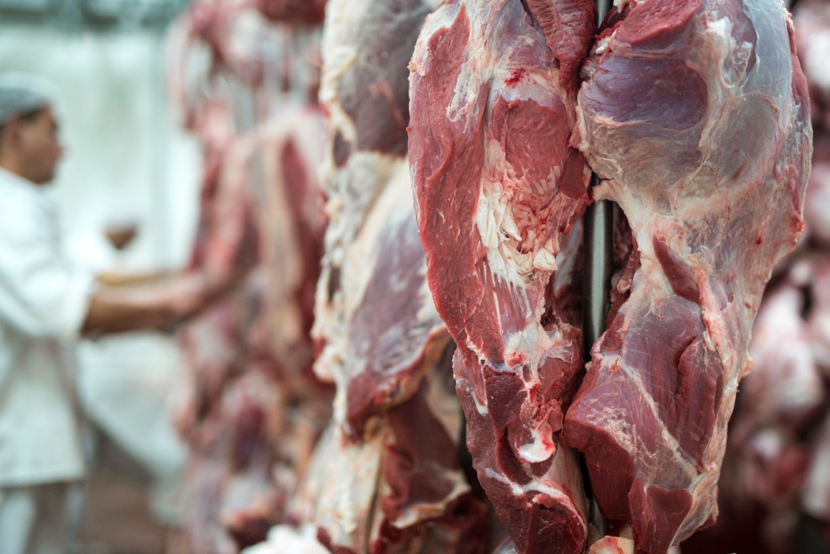 Exporturile de animale vii au dus la scumpirea cărnii în România