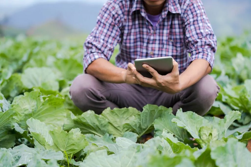Tendințe în agricultură: Tehnologizare, organizare, accent pe calitate