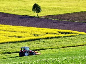 noile tehnici genomice in agricultura se deosebesc radical de vechile organisme modificate genetic, regulamentul UE este in curs de negociere