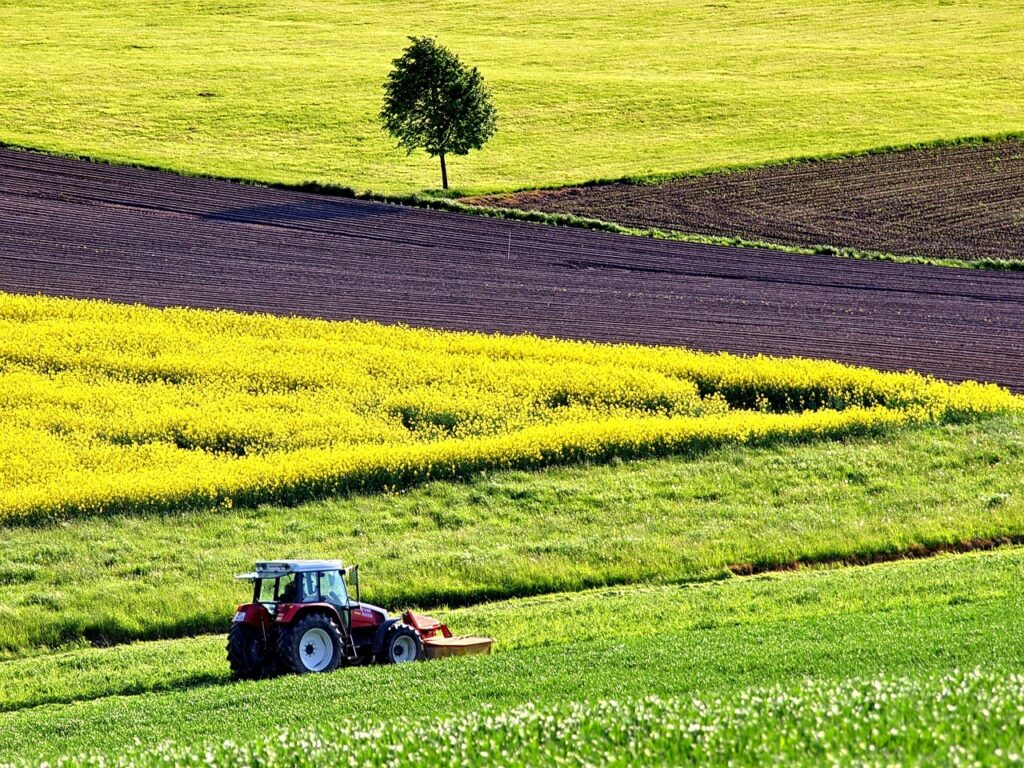producția agricolă și piscicolă în creștere