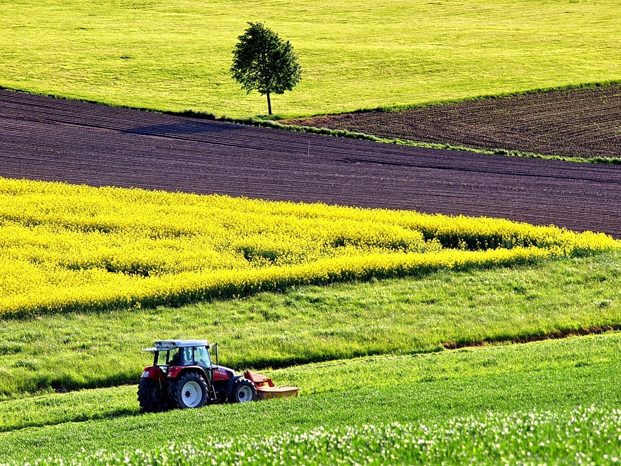 noile tehnici genomice in agricultura se deosebesc radical de vechile organisme modificate genetic, regulamentul UE este in curs de negociere