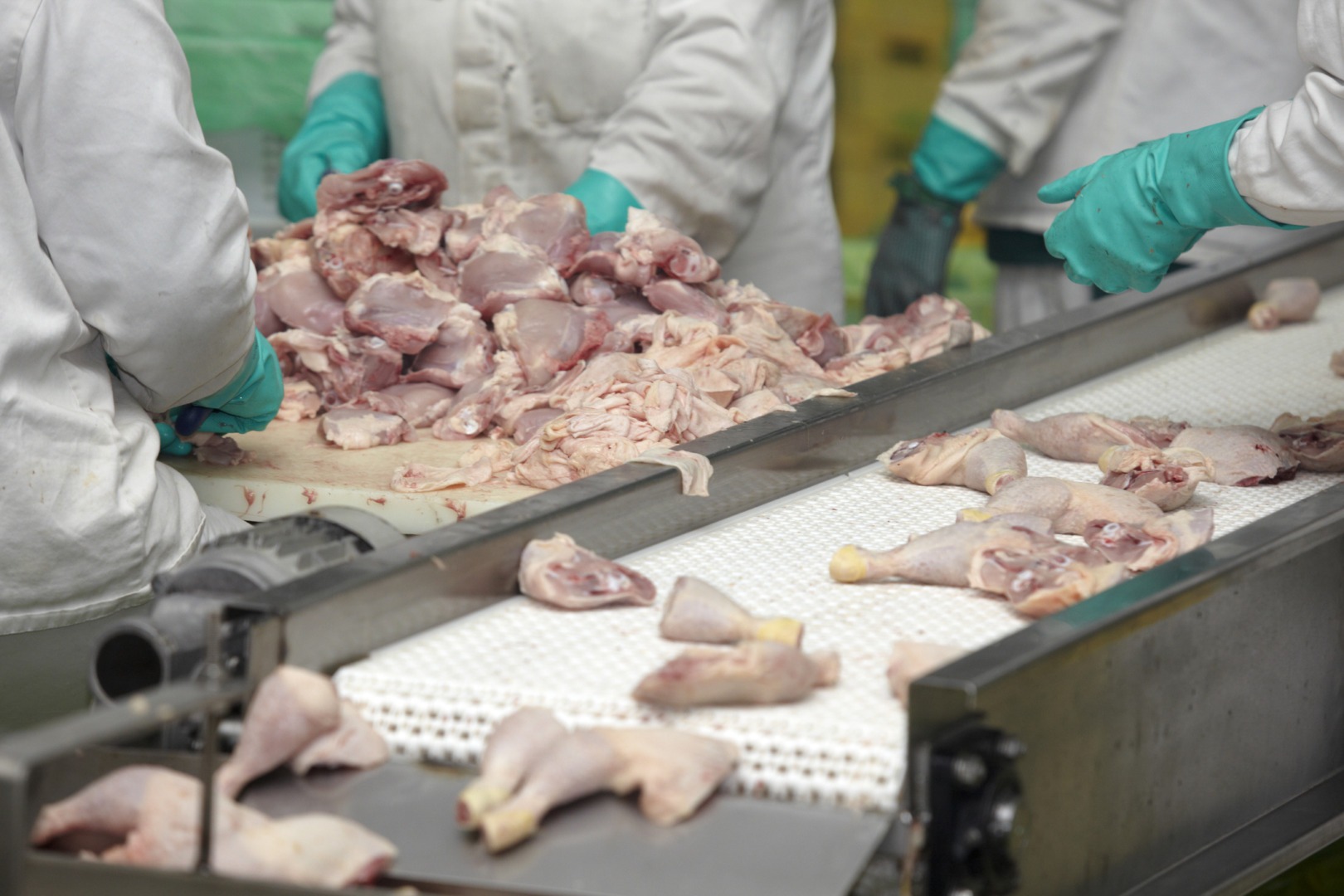 UE nu mai ijmportă carne de pasăre din Brazilia din cauza gripei aviare