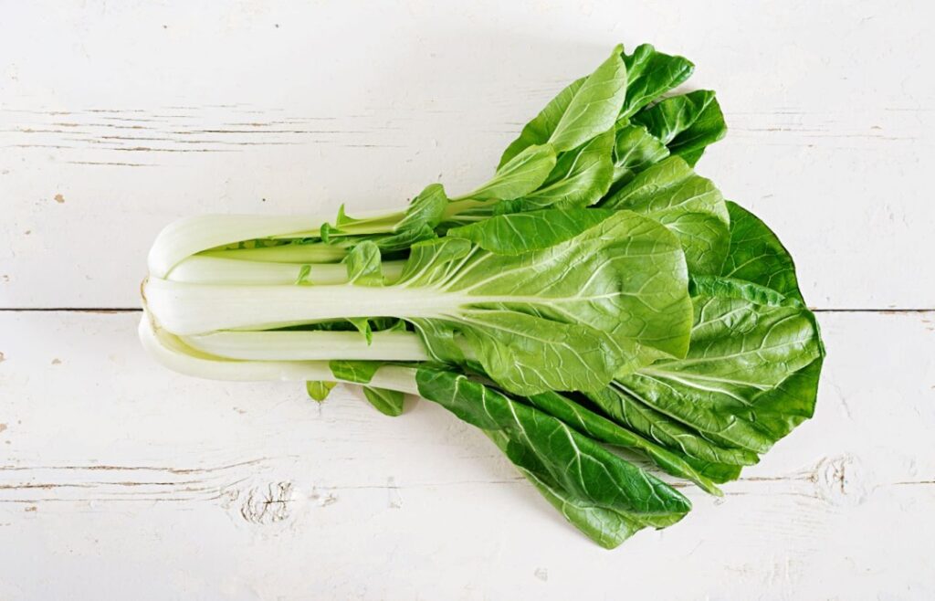 ce este pak choi, leguma zisa și varza chinezească, ușor de cultivat similar verzei, sănătoasă și ușor de preparat