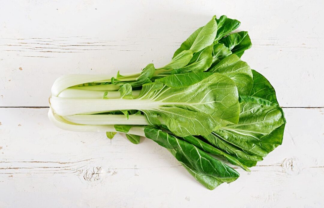 ce este pak choi, leguma zisa și varza chinezească, ușor de cultivat similar verzei, sănătoasă și ușor de preparat