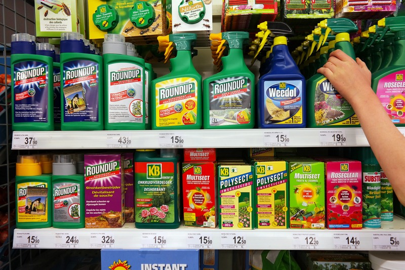 Bayer ia in calcul falimentarea Monsanto pentru a scapa de daunele in urma proceselor impotriva ierbicidului Roundup pe baza de glifosat