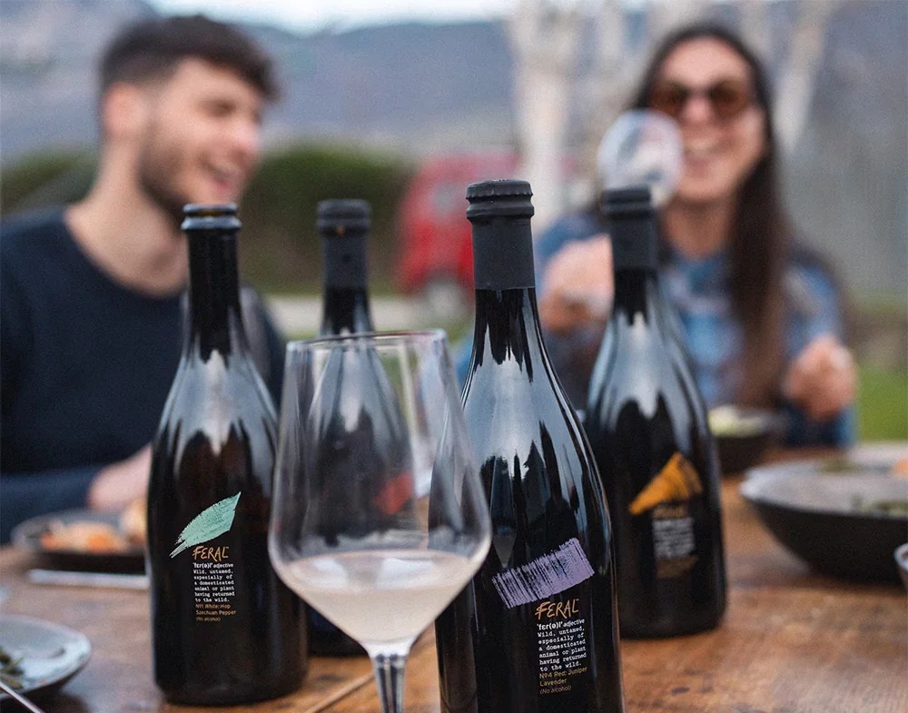 consumul de alcool la tinerii europeni a scazut