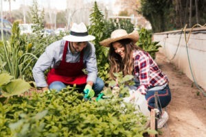 Zilele horticulturii clujene au loc la Cluj Napoca