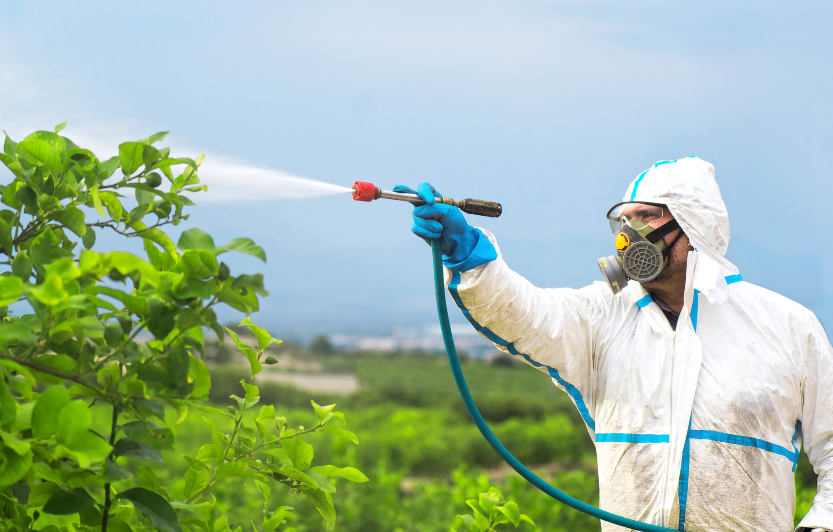România aprobă pesticide interzise în UE