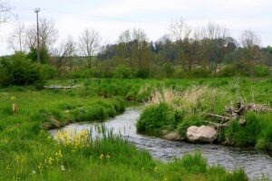 curgerea naturala araului a fost deviata