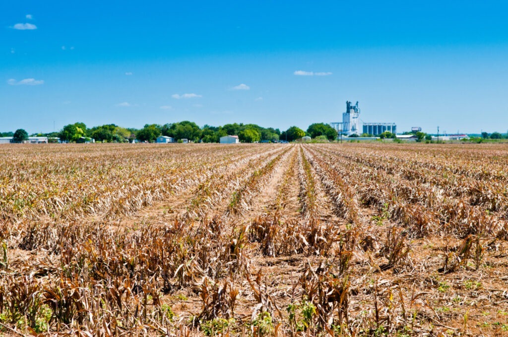 presedintele LAPAR Nicu Vasile spune că doar 20% dintre terenurile agricole din Romania au titluri de proprietate
