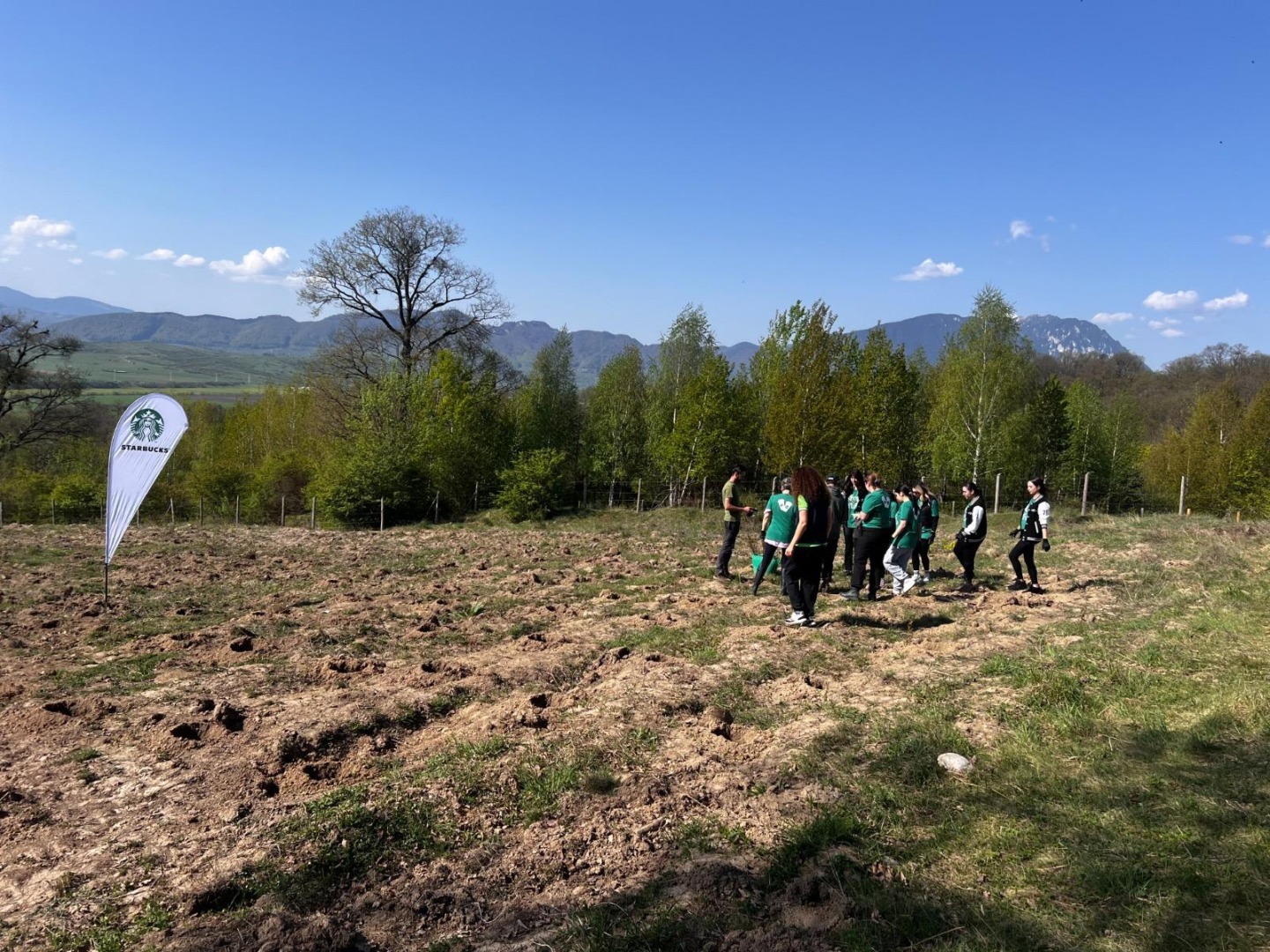 Starbucks România se implică activ în comunităţile locale şi investeşte în acţiuni de voluntariat dedicate reîmpăduririi