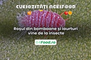 Colorantul carmin este obținut dintr-o insectă