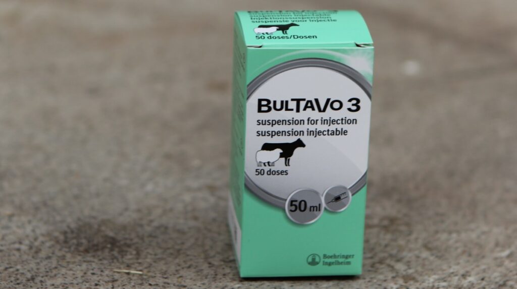 Vaccinul impotriva virusului limbii albastre, bultavo 3