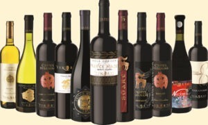 ziua nationala a gastronomiei, vin, promovare vin romanesc