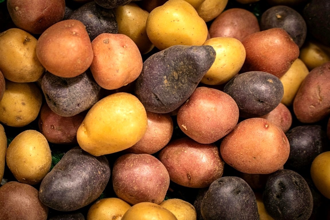 cartofii-mov-violet-sunt-mai-sanatosi-decat-cei-obisnuiti-contin-antioxidanti-sunt-aliment-nutraceutic