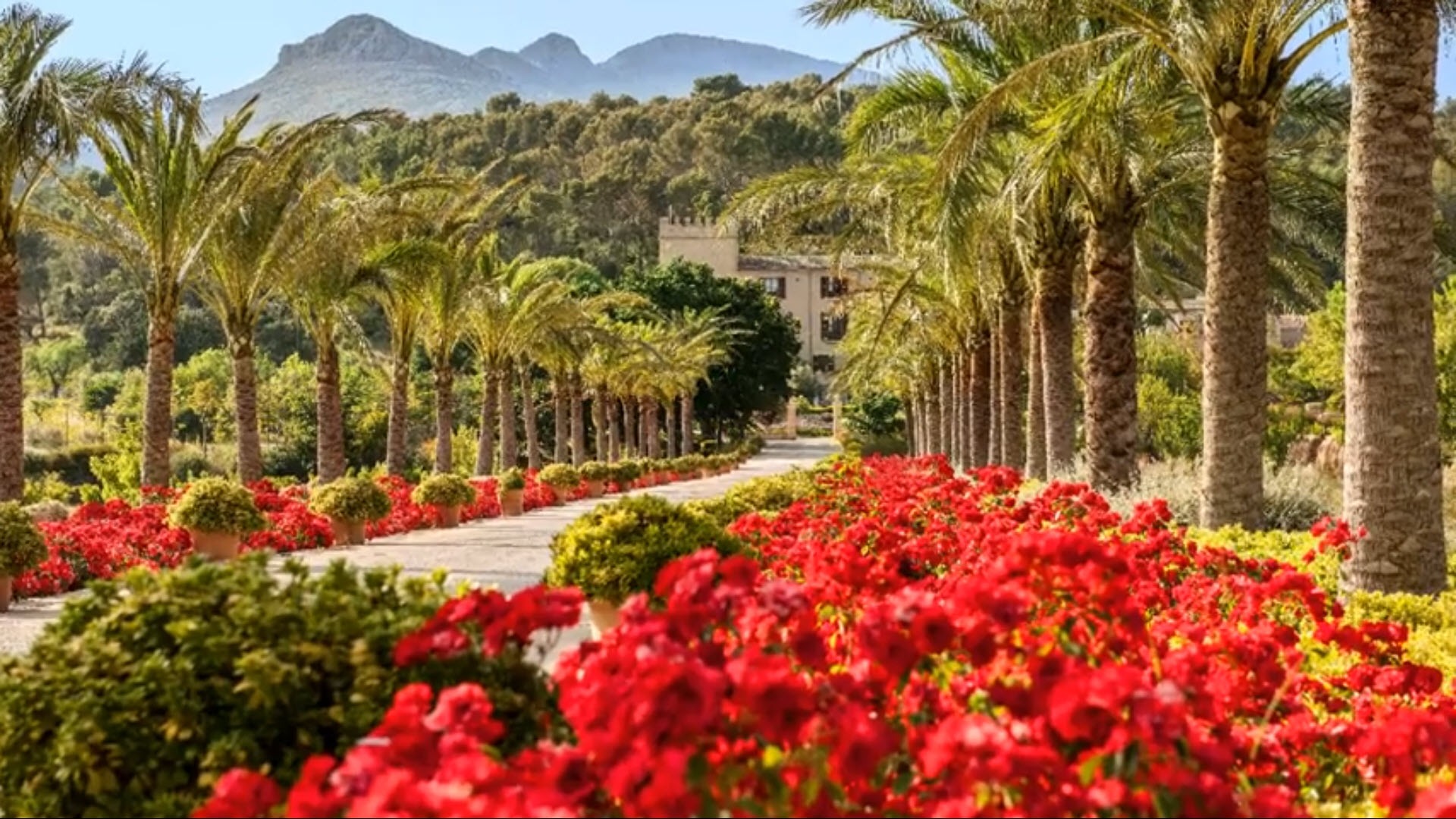 Unde mâncăm în vacanță Mallorca