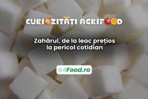 Zahărul a ajuns un aliment controversat