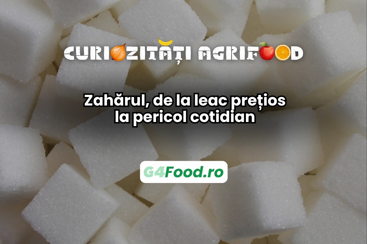 Zahărul a ajuns un aliment controversat