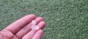 FOTO-VIDEO | Ploaie cu grindină în Ilfov / Proprietarii de grădini și terenuri agricole se tem că legumele și fructele vor fi afectate