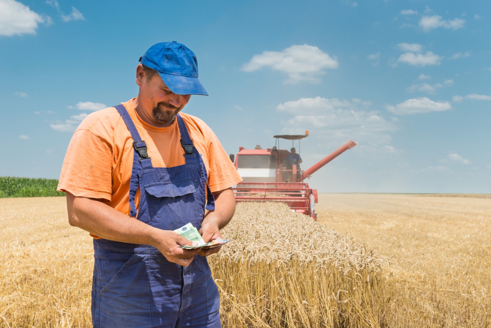 Parchetul European anchetează mai multe fraude în agricultură
