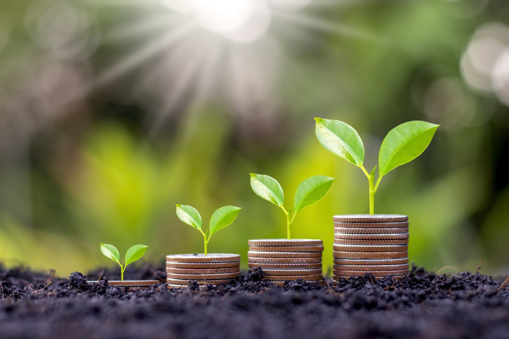 APIA a început aprobarea sumelor pentru sprijinul cuplat