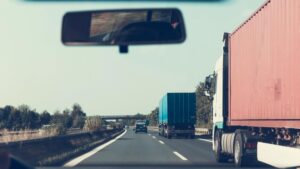 Statul român stabilește control fitosanitar permanent la frontiera cu Moldova și Ucraina.