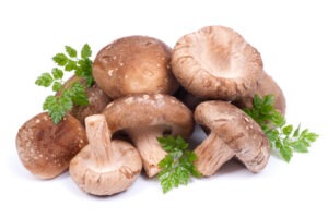 Ciupercile ajută la eliminarea chimicalelor di ncorp