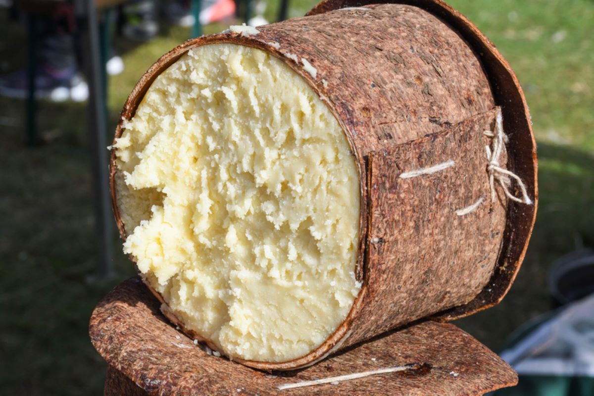 branza-de-burduf-singura-branza-romaneasca-din-top-100-branzeturi-a-taste-atlas