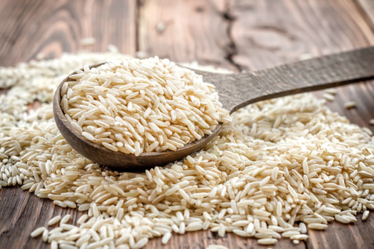 orezul-Carnaroli-italian-implineste-80-de-ani-si-este-cel-mai-valoros-orez-de-pe-piata-risotto