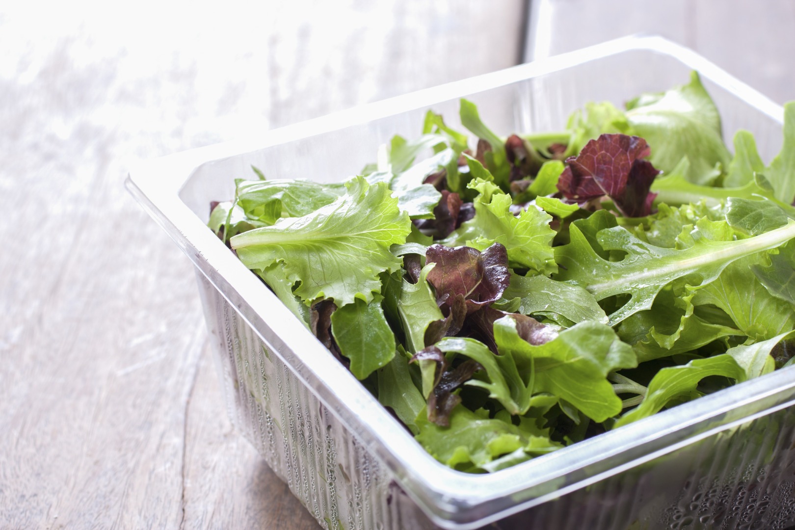 Salatele gata de consum pot fi contaminate cu toxoplasma