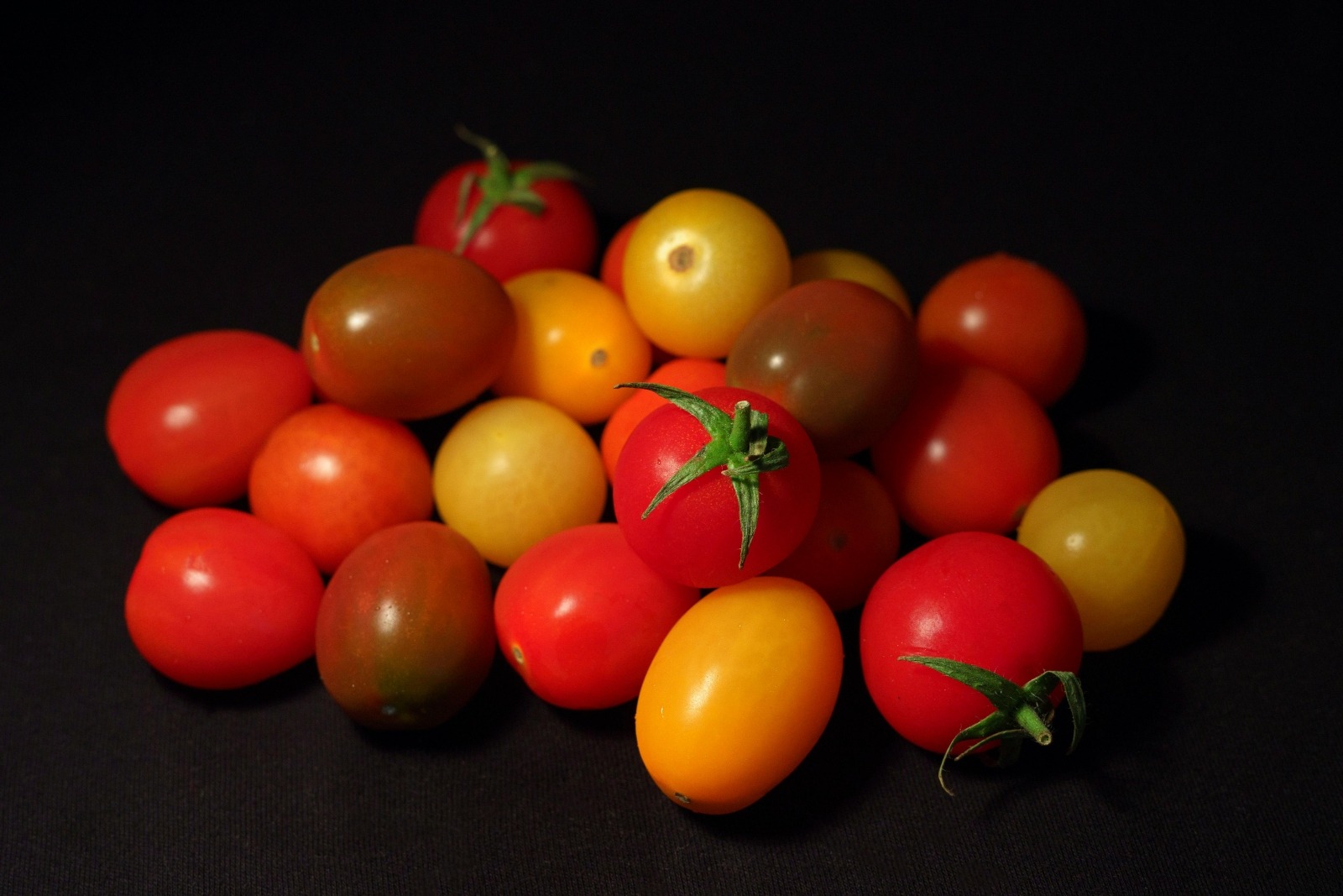 Tomatele galbene mai nutritive decat cele rosii