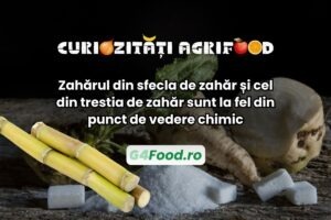 Zahărul din sfeclă și cel din trestie au aceeași compoziție