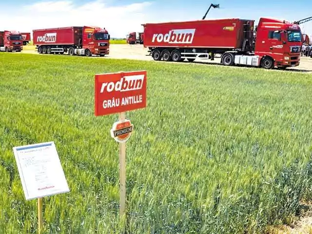 RodBun agribusiness