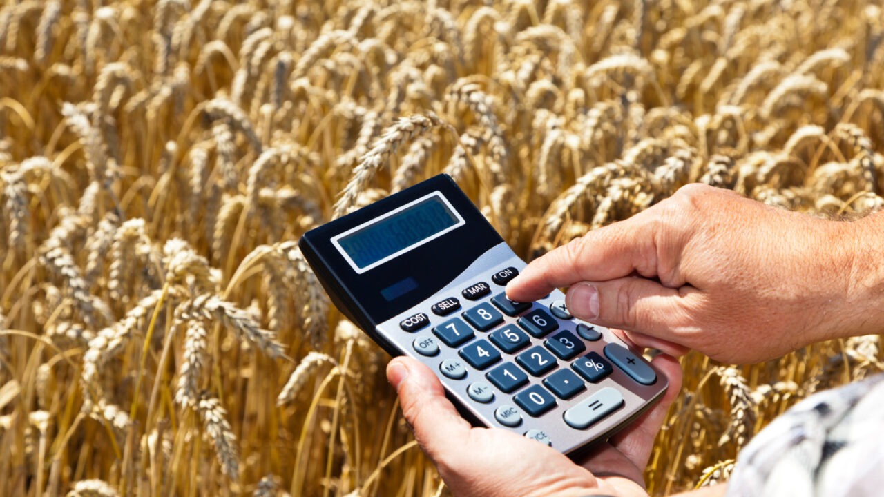 Salariile în agricultura românească nu sunt atrăgătoare