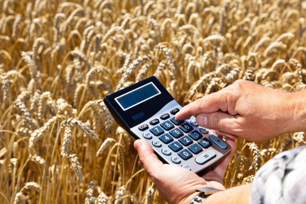 randamentul culturilor agricole
