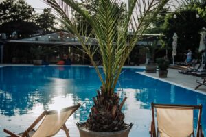 Daimon Summer Pool 